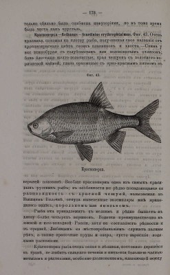 [Первое издание]. Золотницкий Н.Ф. Аквариум любителя. Подробное описание флоры и фауны аквариума, устройства аквариума, ухода за ним и проч. С 90 политипажами. М.: Тип. А.А. Карцева, 1885.